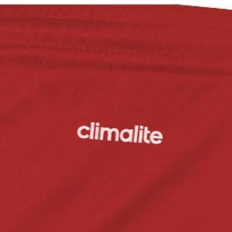 Adidas Aj5893 Парма 16 Короткие Молодежные