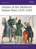 Книга Armies of the Medieval Italian Wars 1125-1325