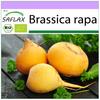 Organic - Репа - Голдана - 500 семян - Brassica rapa