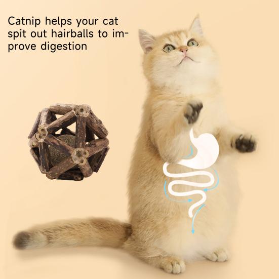 Natural Catnip Silvervine Ball Toy Dental Health Emotional Regulation Chew Toy Promotes Digestion Soothes Mood Cat Toys for Indoor Cats Kittens