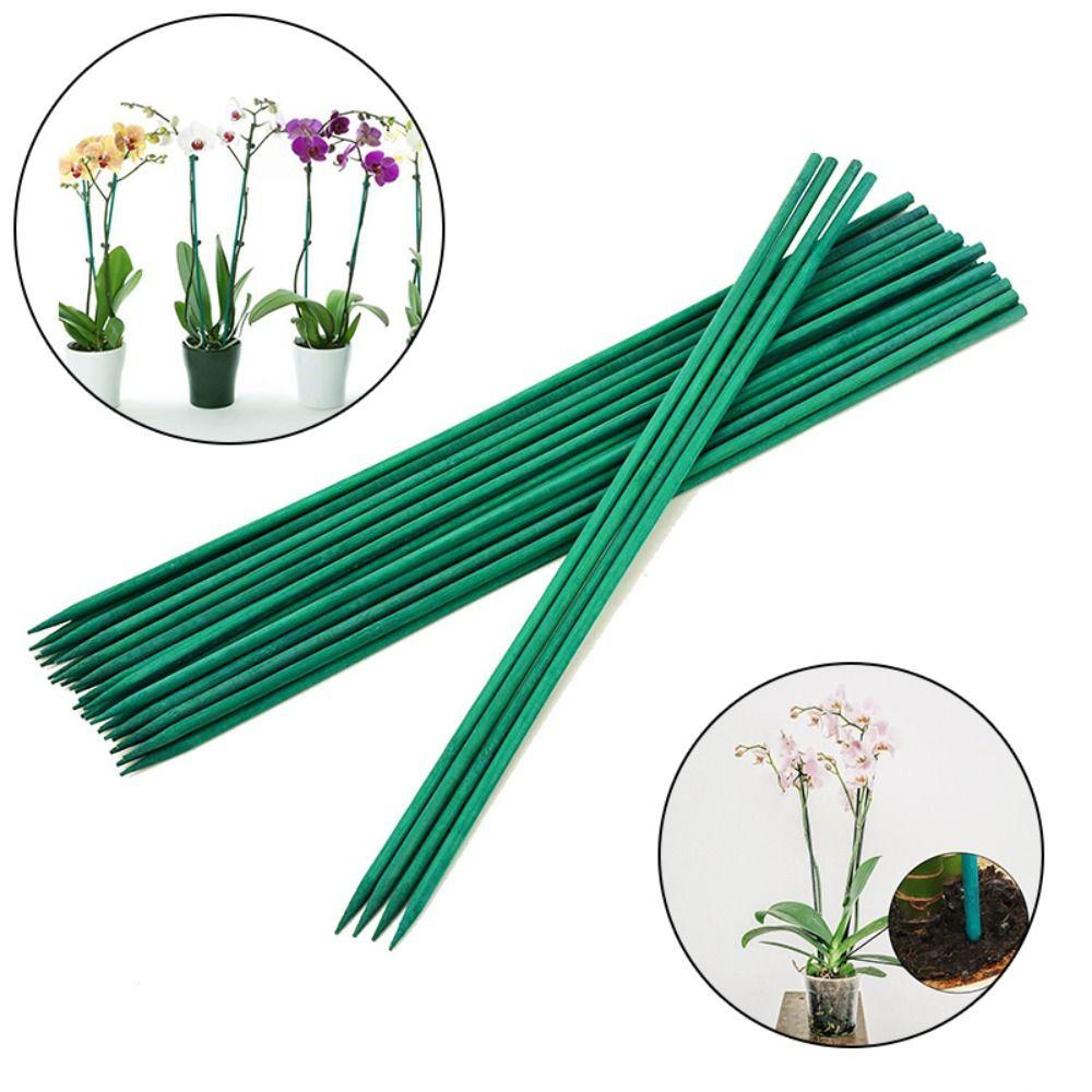 10 шт. 40 см цветочные палочки деревянные бамбуковые зеленые палочки профессиональные садовые трости цветочные