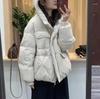 2024 осень и зима новая корейская версия пуховик Dongdaemun женский свободный и тонкий теплый белый пуховик с капюшоном прилив