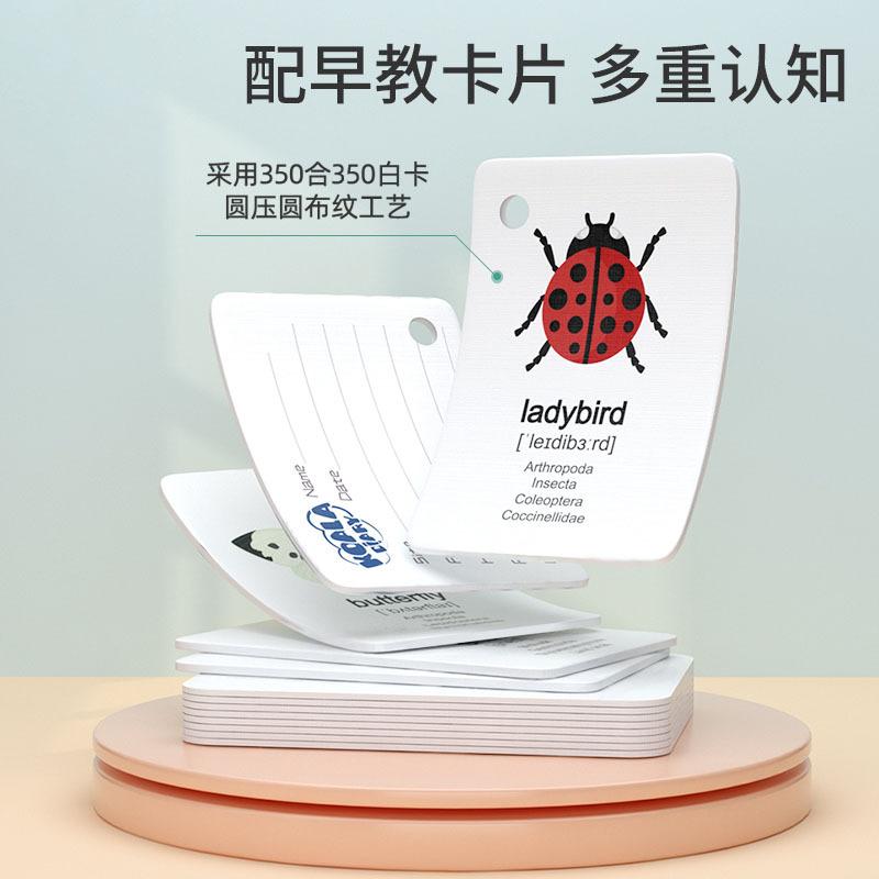 Игрушки для улицы Наблюдатель за насекомыми Детское приключение Научный эксперимент Телескоп Лупа Исследуйте Игрушки для детского сада