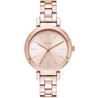 Часы DKNY Ellington NY2584