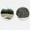 350 г 2012 года Фудинский Белый Пион Чайный Блинчик Для Похудения Велнес