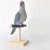 Bird Perch Nature Stand for Parrots Conure Supplies Budgies Stand Scratchers for Small Parrots Rack Toy