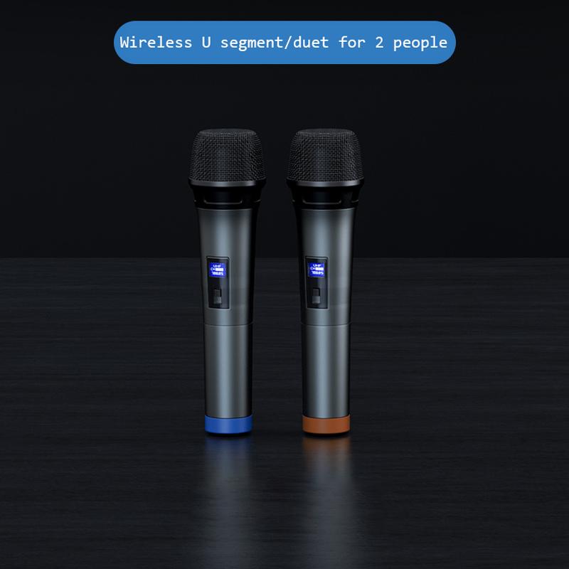 Мощный настенный динамик Echo для гостиной, 100 Вт, двойной микрофон, пульт дистанционного управления, высококачественный 3D объемный звук, настольный сабвуфер