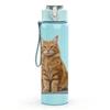 1PC Quiet Orange Tabby Cat 750ml Color Plastic Sports Water Bottle Leakproof Flip Straw Lid Suitable for Sports Office Home Use