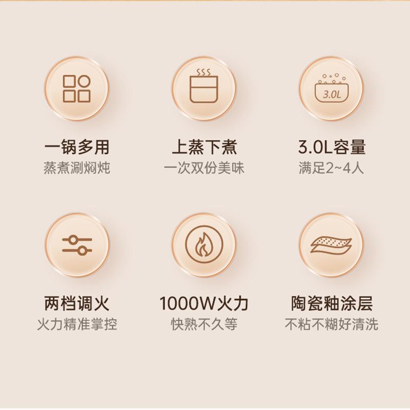 Lei Fan Electric Frying Pan