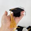 5/10Pcs Felt Graduaion Caps for Plush Toy Wine Bottle DIY Decoration 2025 Graduation Party Gift Mini Bachelor Hat Table Ornament