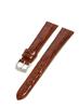 AMADEUS Caiman Crocodile Watch Gold with Replacement Tool U0518052041019M Strap, 19mm, Brown, [Officially Imported]