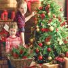 35Pcs Christmas Decoration Artificial Pine Branches Berries Red Berry Branches for Christmas Tree Wreath Gifts Vase Decoration