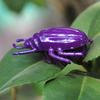 Fashion Pet Insect Cicada Beetle Simulation Cute Cat Toys Mini Auto Walking Insect Teaser Interactive 1pc New Electric
