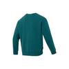 Puma Толстовка с вышитыми буквами, свободная, утолщенная, дышащая, для бега, спортивная, мужская, толстовка с капюшоном, зеленая 625312-43