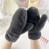 Plush Thicken Wither Warm Cashmere Gloves Imitation Rabbit Fur Women Girls Gloves Windproof Soft Full Fingers Mittens Gloves