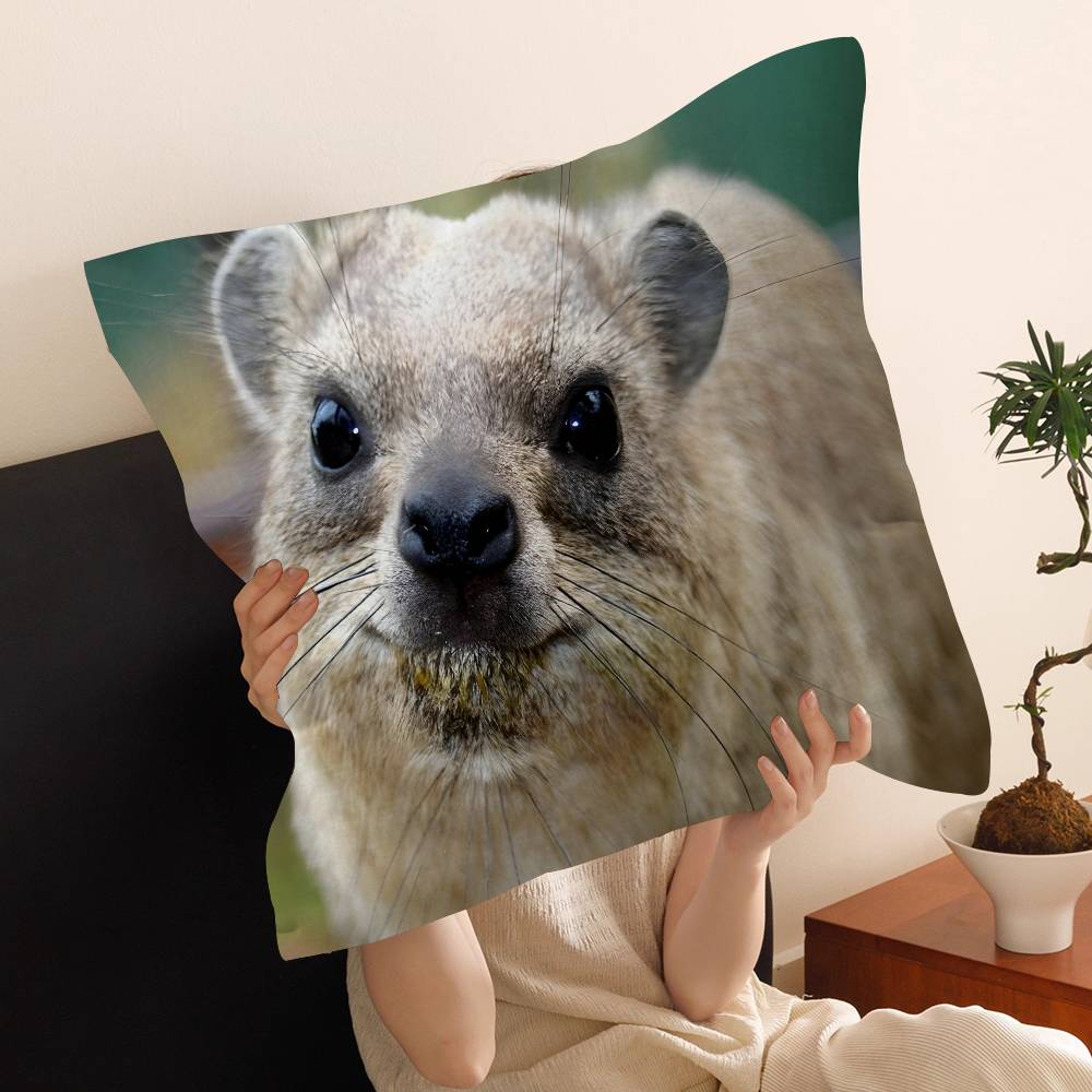 Rock Hyrax Animal Cushion Cover Pillow Cover Decor Pillowcase Printed Cushion Case for Couch