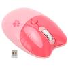 Wireless Mouse  5.1 Or 2.4GHz Silent Click   DPI Auto Sleep   Mouse for Girl Working Family School Cafe