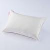 SILK SKIN TSUMUGU Pillow Cover White