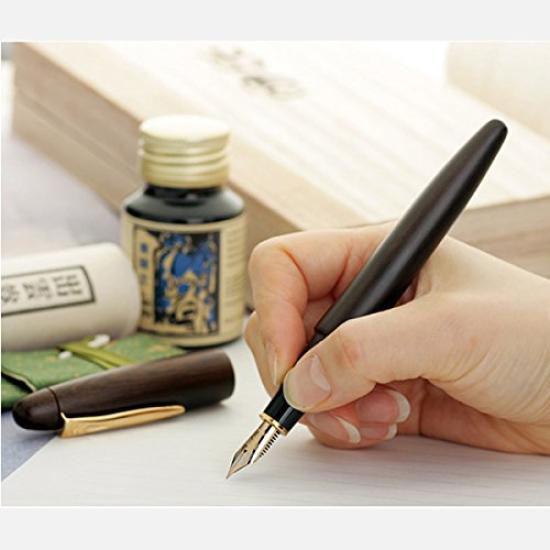 Platinum Fountain Izumo Ironwood Medium Nib Pen, (Matte Tagayasan) (M), PIZ-50000T#20