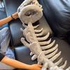 Dinosaur Skeleton Mask Headgear - Dragon Skull Hat for Adults and Kids