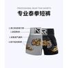 MMA Training Shorts Muay Thai Boxing Kickboxing Sanda Camp Gym Workout Men Women Neutral Fit