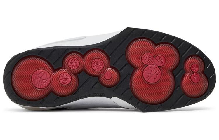 Jordan 20 Унций Средне-западный Красный 310455-102