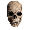Skull Mask Breathable Latex Headgear Full Head Skull Helmet Non-Toxic Halloween Skull Mask For Outdoor Decorations Halloween