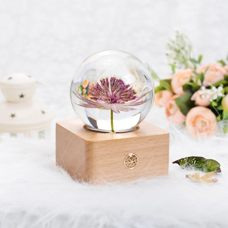 Unique Hot Item 2026 Trends New Years Innovative Product Ideas in Latest Real Flower Night Light Holiday Festival Gift Set