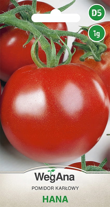 Hana Dwarf Tomato 1g Tomato Seeds - WegAna
