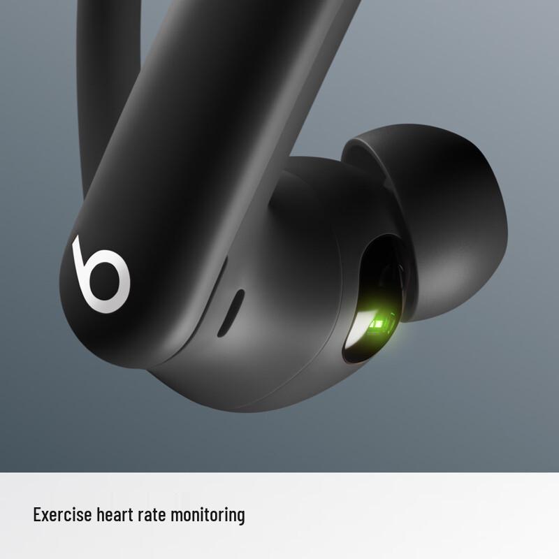 Beats Powerbeats Pro 2 True Wireless Sport Earbuds