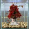 Fake Aquarium Christmas Ornament Simulation Artificial Christmas Tree Plants  Garden Decoration