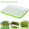 Plastic Sprouting Tray Props Set Tools Accessory Cells Germination Tray Microgreens Seed Tray