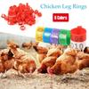 Numbered Chicken Goose Poultry Ducks Foot Clip Rings Leg Bands Rings Farm Supplies Bird Appliances