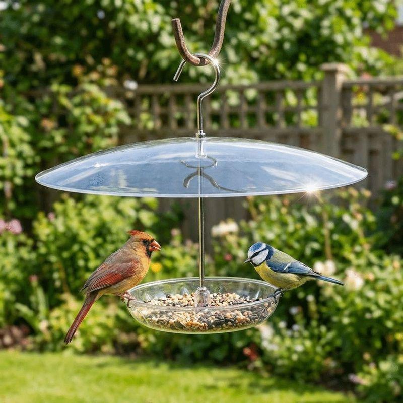 Clear Dome Bird Feeder Rain Guard Cover UV Protection Snow Proof Umbrella Bird Feeder Weatherproof Squirrel Proof