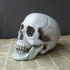 Realistic Human Skull Model - Halloween Decoration Prop for Haunted Houses - Creepy Skull Ornament Convenient Home Decor