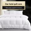 Qilu Hotel Down Alternative Comforter