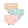 3 Pcs/Set Seamless Panties Silk Pamty Mid Waist Underwear Comfort Underpants Solid Invisible Briefs Female Lingerie