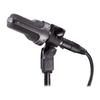 Audio-Technica AE3000 Cardioid Condenser Instrument Microphone, Artist Elite Series, High-SPL, XLR