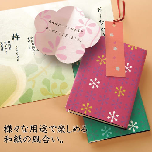 Plus Inkjet Paper Japanese Paper Medium Thick A4 10 Sheets IT-324J 45-295