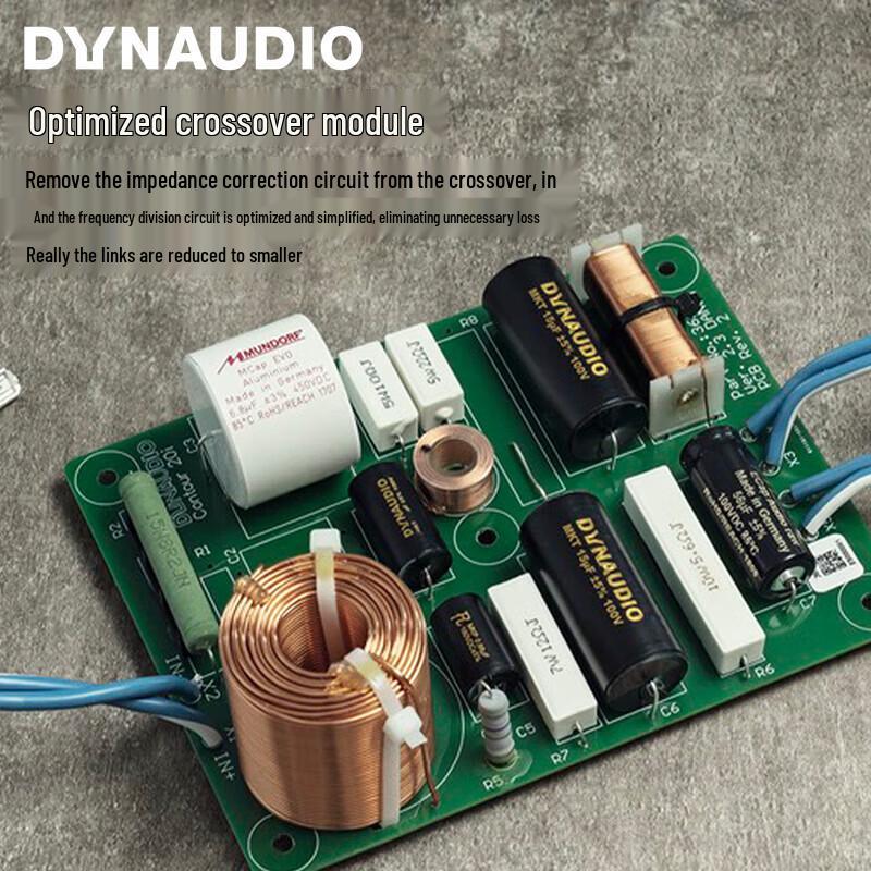 Dynaudio Contour 25ci Center Speaker (CN version)