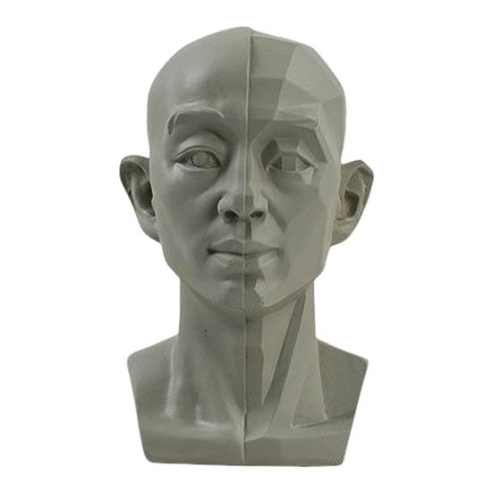 Generic Planar Head Model for Drawing Resin Skull Sculpture with Detailed Muscle Structure Art Study Tool for Sketching Anatomy Learning