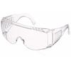 PGL-1 Pro Goggles L Clear