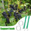 Томатные крючки с веревкой Садовые крючки для поддержки вьющихся растений 40 штук Держатель для фиксации стеблей с 40 зажимами для баклажанов