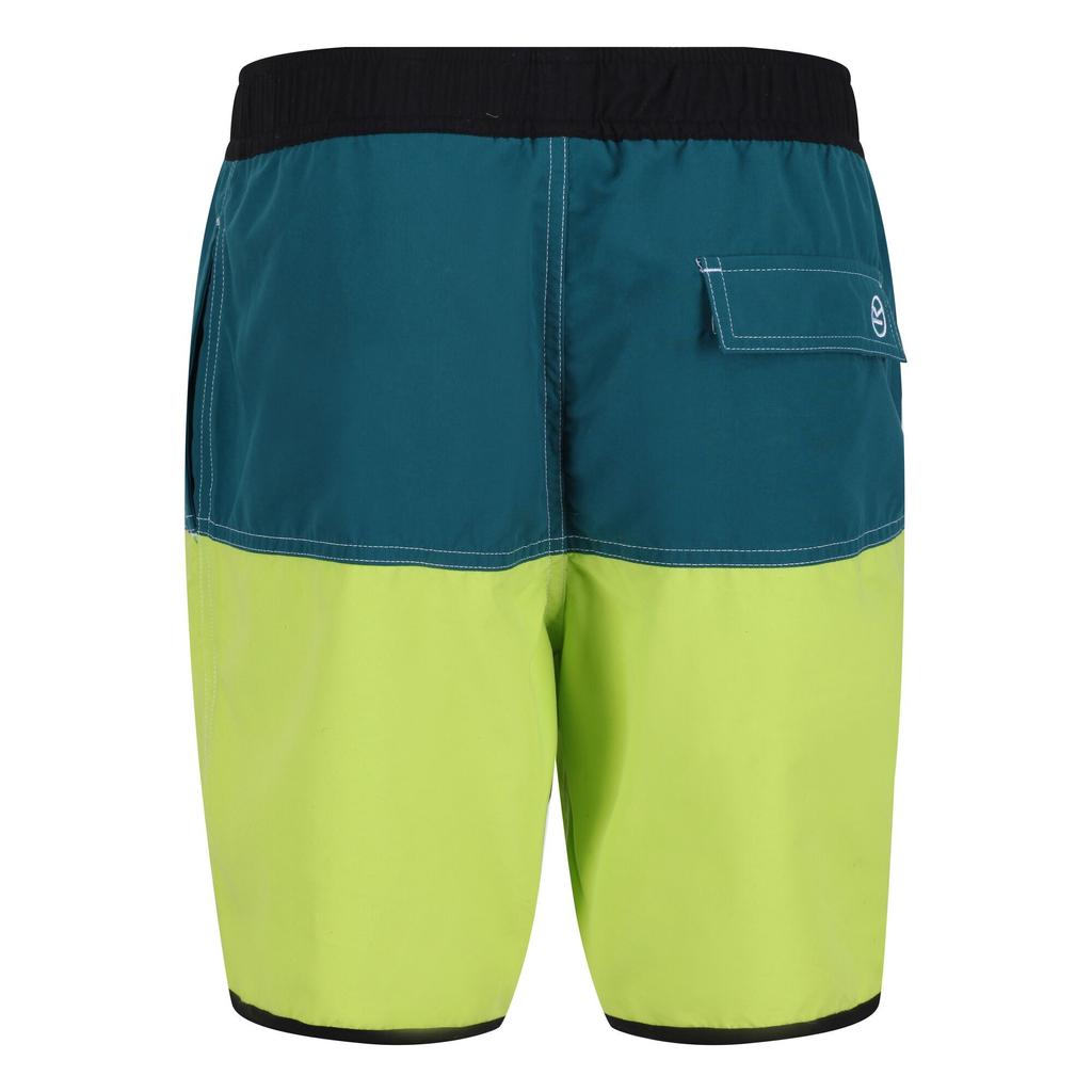 Regatta Mens Benicio Swim Shorts