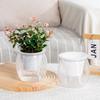 Automatic Water-Absorbing Self-Watering Plant Pots Transparent Lazy Plant Pots Desktop Flower Pot