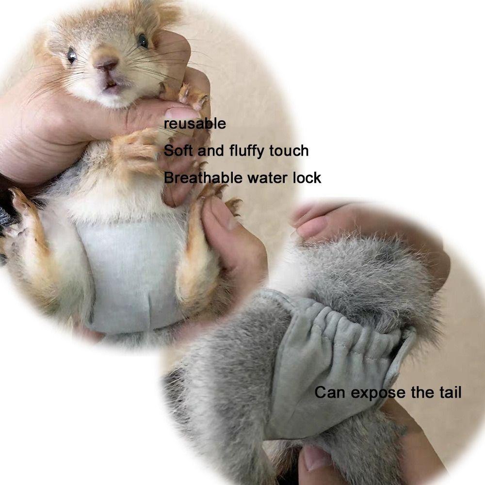 Reusable Hamster Training Pants Leak-Proof Senior Pets Underwear Squirrel Diapers Senior Pets