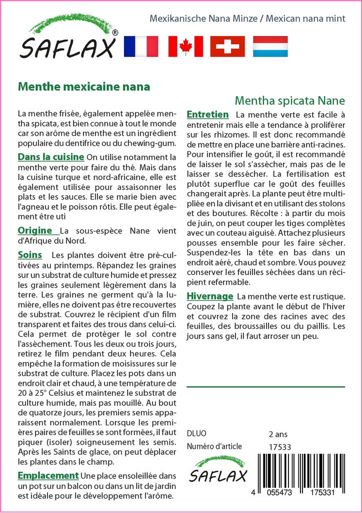 SAFLAX Garden in the Bag - Мексиканская мята нана - 500 семян - С субстратом в подходящем пакете - Mentha spicata