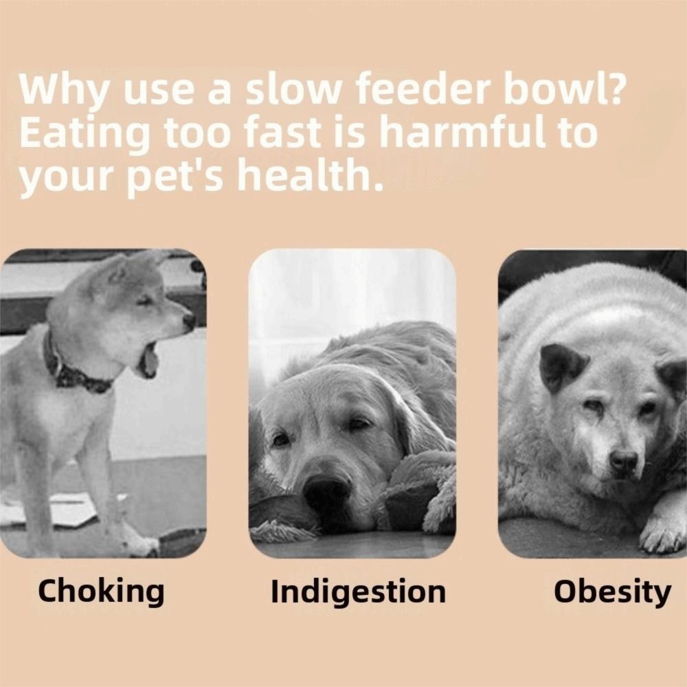 Stainless Steel Pet Slow Feeder Bowl Durable Easy Clean Cat Food Dish Anti-Choke Anti-Slip Dog Water Bowl for Cat Dog
