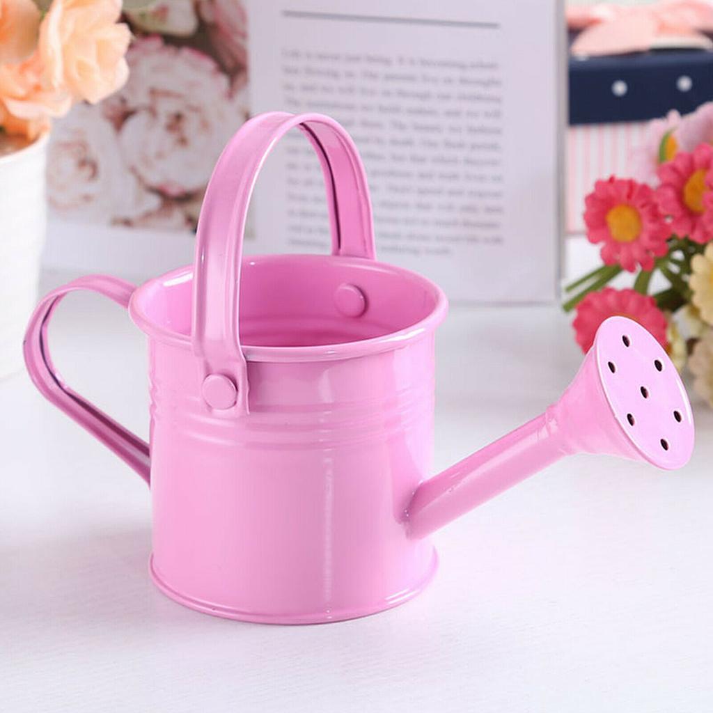 Home Kawaii Vintage Metal Water Spraying Pot Watering Can Flower Kettle