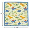 Skater Kids' Lunch Cloth, 43x43cm, Made In Japan, Dinosaur Picture, KB4-A